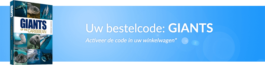 Giants of the Caribbean