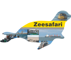 Zeehond flyers drukken
