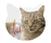 Kat flyers